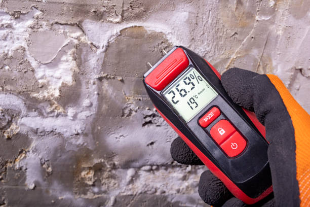 Home Mold Removal in West Valley City, UT