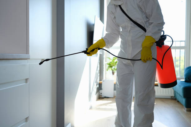 Best Toxic Mold Removal  in West Valley City, UT