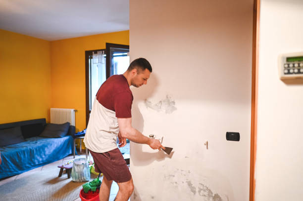 Best Residential Mold Removal  in West Valley City, UT